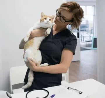 Dr Marie Uzel, vet