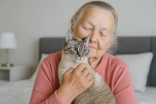 Adopting a Senior Cat After a Grief: A Comforting Companion