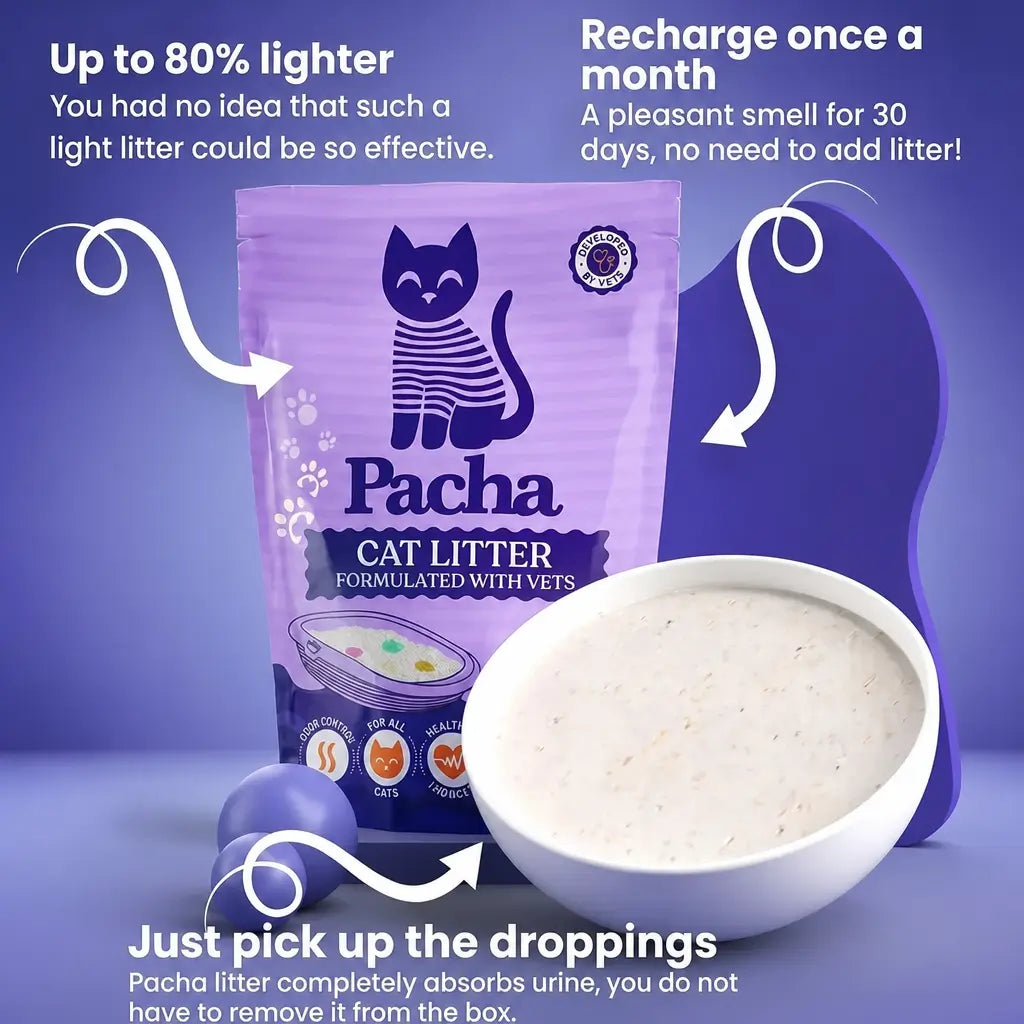Pacha™