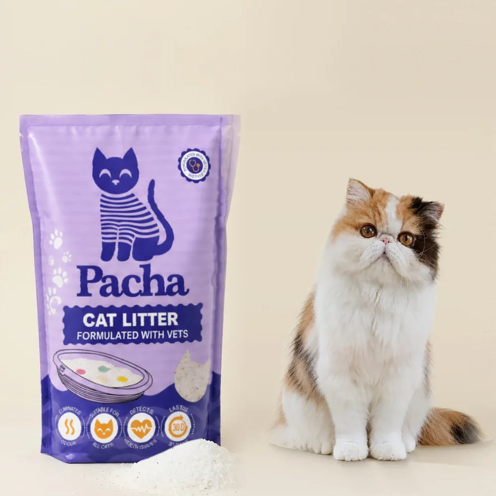 The Pacha litter bag and its fine crystals: traps odours, 45-second daily upkeep, flags changes in your cat's health, virtually dust-free