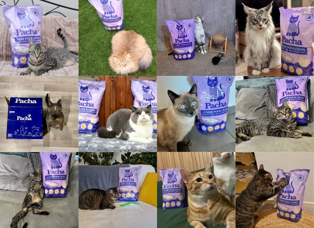 A grid of customer photos: cats next to their bag of Pacha litter