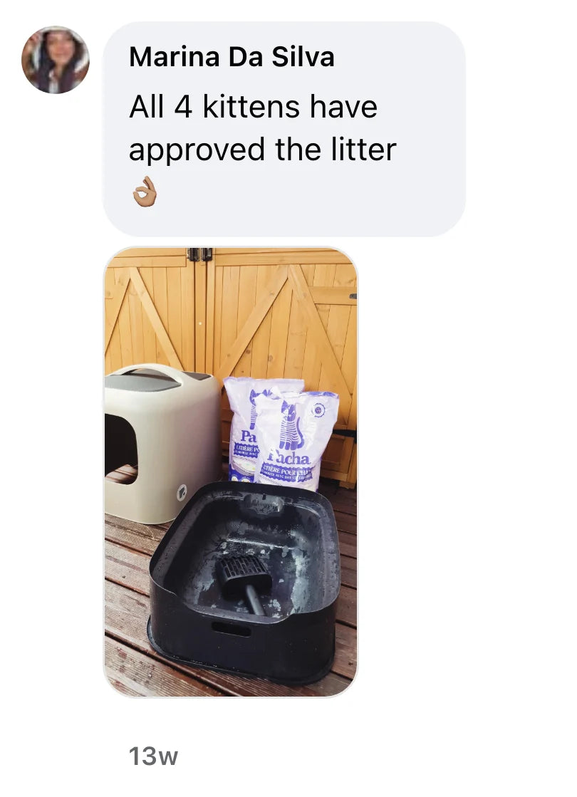 Facebook comment by Marina Da Silva: "All 4 kittens have approved the litter 👌🏽"