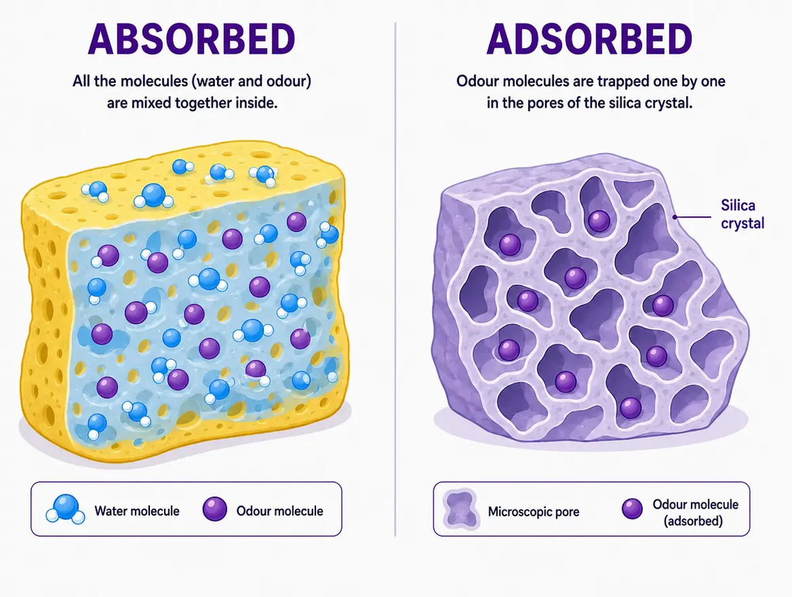 Diagram: on the left a sponge in which water and odour are mixed together (absorbed), on the right a silica crystal whose pores trap odour molecules one by one (adsorbed)